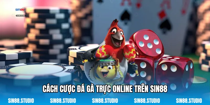 Cách Cược Đá Gà Trực Online - Chinh Phục Sới Gà Mạng 4 Cách Cược Đá Gà Trực Online Trên Sin88