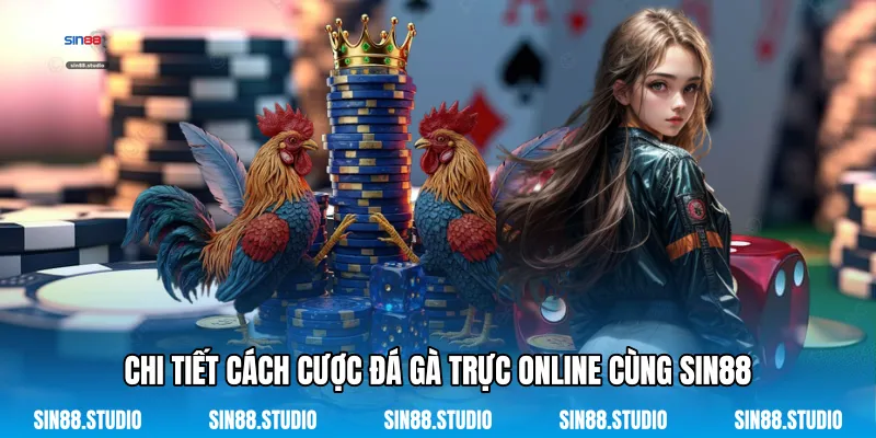 Cách Cược Đá Gà Trực Online - Chinh Phục Sới Gà Mạng 3 Chi Tiết Cách Cược Đá Gà Trực Online Cùng Sin88