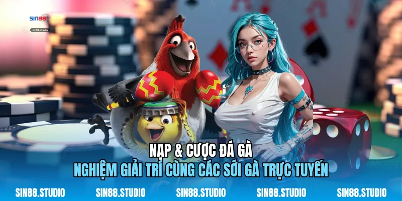 Nạp & Cược Đá Gà - Giải Trí Cùng Các Sới Gà Online 1 Nạp & Cược Đá Gà
