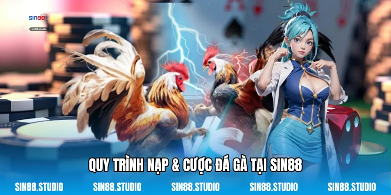Nạp & Cược Đá Gà - Giải Trí Cùng Các Sới Gà Online 3 Quy Trình Nạp & Cược Đá Gà Tại Sin88
